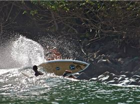 322600 2333042774966 1516701825 2608361 5796800 o