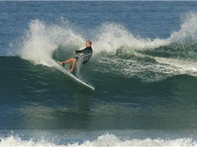 9'1 x 29 Brushed Carbon