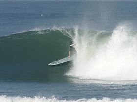 9'1 x 29 Brushed Carbon