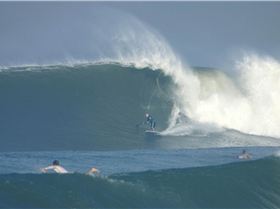 brushed carbon 9'1 x 29