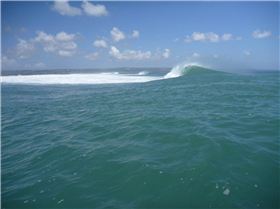 Tues arv Airpt Left 7