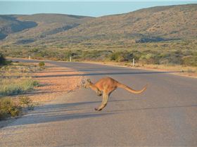 North West Adventures