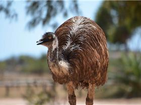 North West Adventures