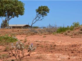 North West Adventures