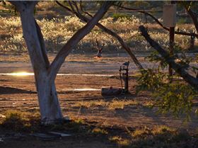 North West Adventures