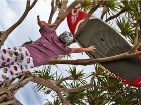 Gusty westerly winds 2/10/2010