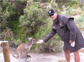 aust. titles oct. 2004 137