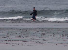 Snapped Leggy Reef Run