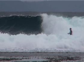 Wave that snapped the leggy