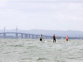 great melb paddle