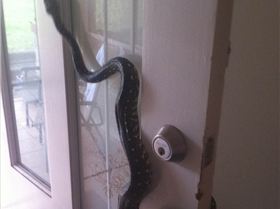 hate it when someone drops in without any notice