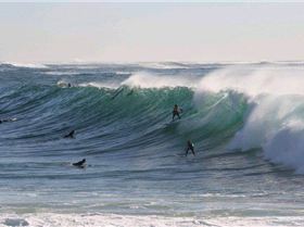 Goatie and German banks