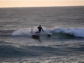 Stand Up Paddle