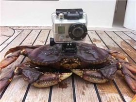 tumblr ltlaui6eGh1qlyi6g