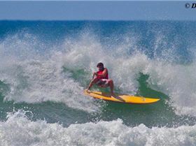 dogman mega gouge bb 2011 yellow board