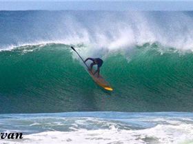 dogman mega drop bb 2011 yellow board