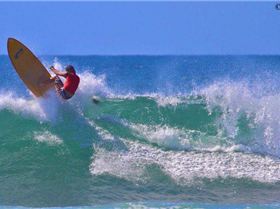 dogman mega off the top bb 2011 yellow board