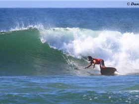 dogman mega bottom turn bb 2011 yellow board