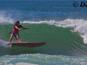 dogman mega roundhouse cuttie bb 2011 yellow board