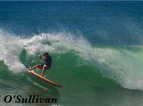 dogman mega gouge no2 bb 2011 yellow board