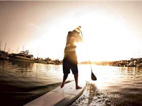 BISHOW-Starboard-EJ-57