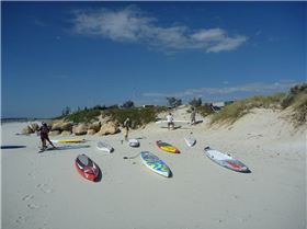the start ... nice array of boards