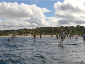 cruise to the cerberus