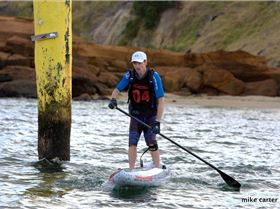 cruise to the cerberus