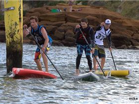 cruise to the cerberus