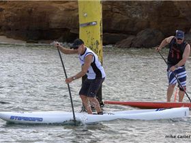 cruise to the cerberus