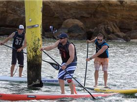 cruise to the cerberus