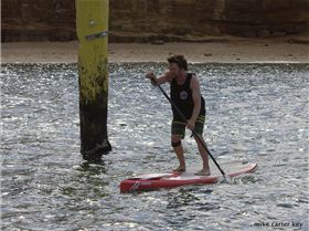 cruise to the cerberus