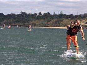 cruise to the cerberus