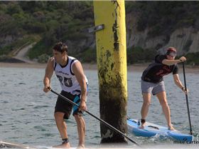 cruise to the cerberus