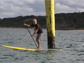 cruise to the cerberus