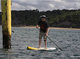 cruise to the cerberus