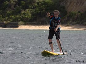 cruise to the cerberus