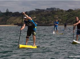 cruise to the cerberus