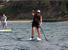 cruise to the cerberus