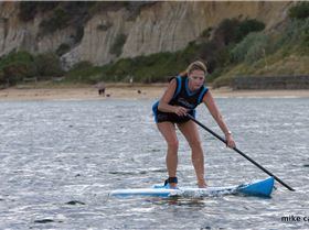 cruise to the cerberus