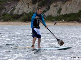 cruise to the cerberus