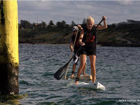 cruise to the cerberus