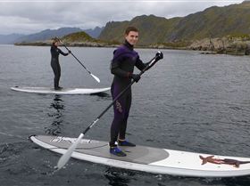 Battle of Lofoten 2011