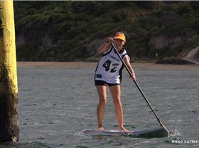 cruise to the cerberus