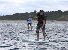 cruise to the cerberus