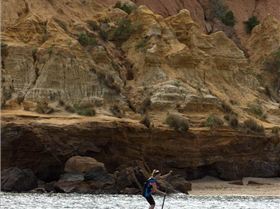 cruise to the cerberus