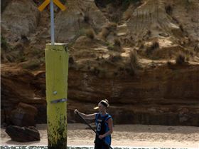 cruise to the cerberus