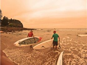 408967 365851936772127 100000419724655 1218417 1561431948 n