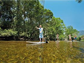 REEF FOUR MILE BEACH AND REEF PADDLE SESSIONS-SUMMER FLAT WATER