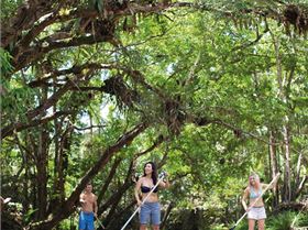 REEF FOUR MILE BEACH AND REEF PADDLE SESSIONS-SUMMER FLAT WATER